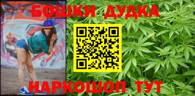 мдпв Новозыбков