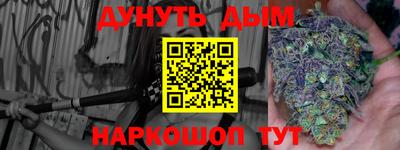 мдпв Новозыбков