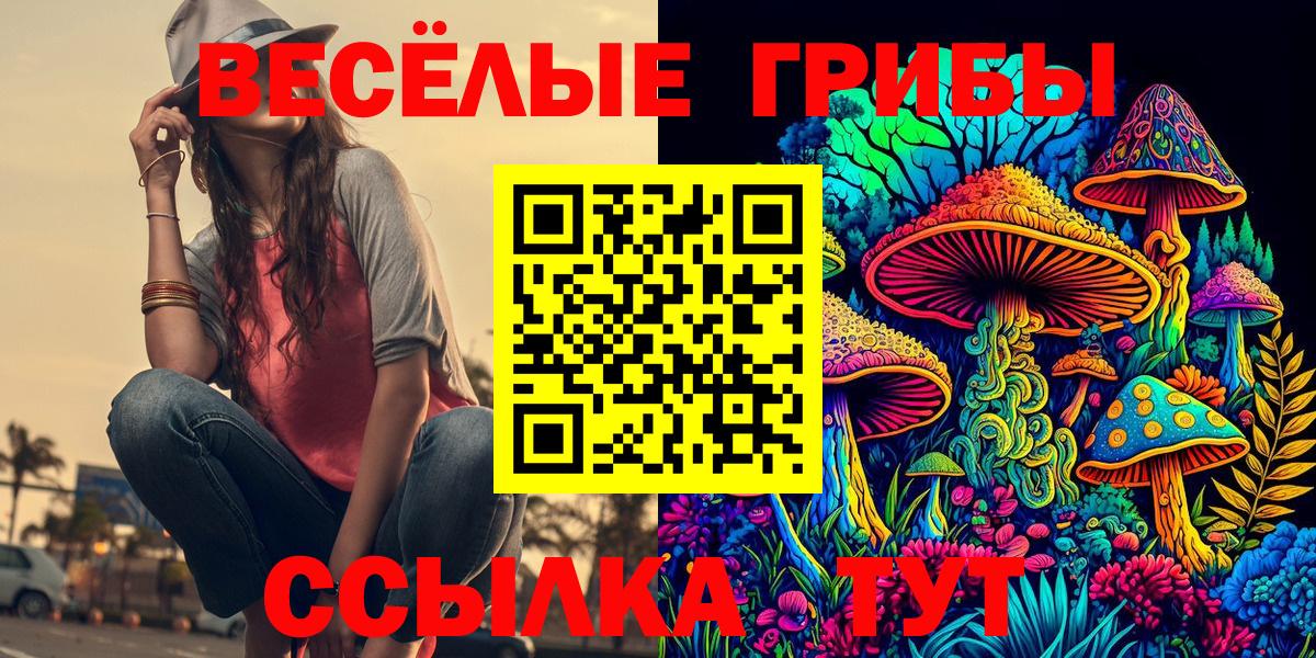 Сызрань  Псилоцибиновые грибы MAGIC MUSHROOMS  Вход с VPN  Псилоцибиновые грибы ЛСД 